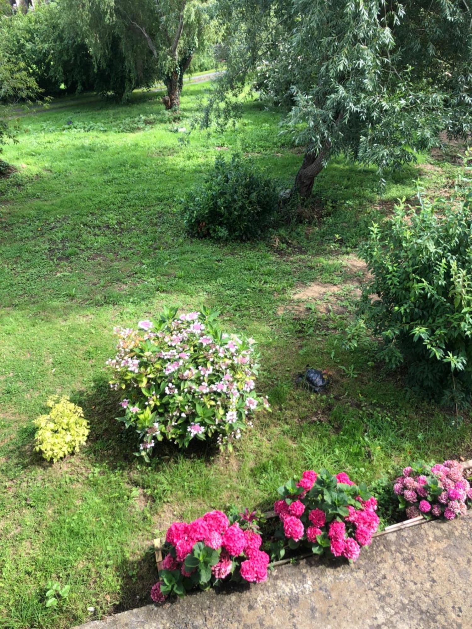 Grande Chambre Familiale Verte Tout Bonnement Bien Putot-en-Auge Buitenkant foto